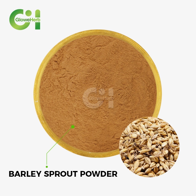 Barley sprout powder